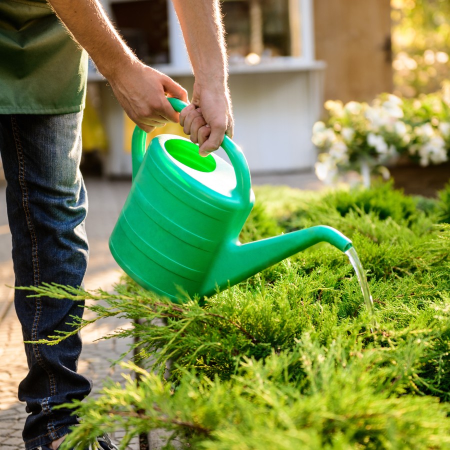Création et entretien de jardin